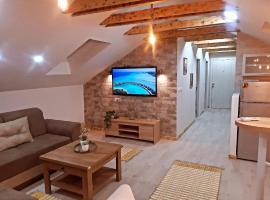 Apartman Miran San u Beogradu，位于Mali Mokri Lug的酒店