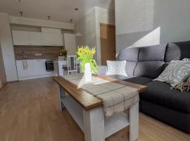 Maramaa Home Viljandi，位于维尔扬迪的酒店