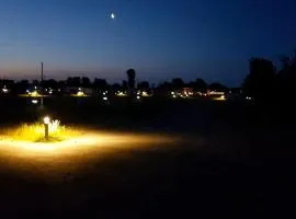 Tiny Haus C235 Wacholderdrossel