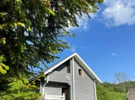 Котеджі Віват