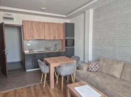 President kop apartment 412