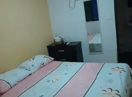 Hotel flor de liz centro