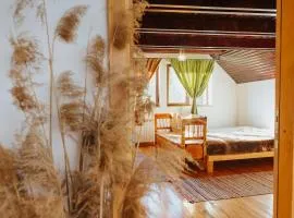 Casa bunicilor/ Grandparent’s house