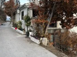 Apartments Zorica