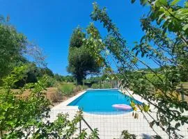 Belle demeure avec piscine à Bourgueuil 5 ch/10 p
