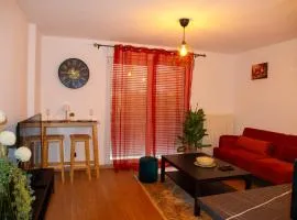 Entire apartment for rent