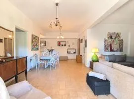 Silver Paradeisi Apartment