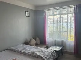 Arara clf Homestay