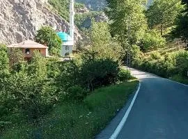 Hamsiköy green garden