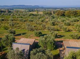 Agriturismo Glamping L'Olivo Country Holidays，位于坎丕里亚麦利蒂玛的酒店