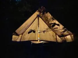 Tente tipi en forêt de châtaigniers