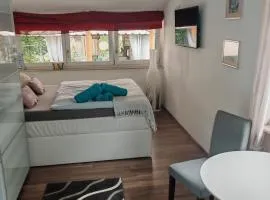 Privates Zimmer mit eigenem Bad in Hochdorf-Assenheim