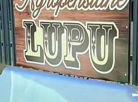Agropensiune Lupu，位于Ursăţei的酒店
