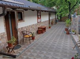 Casa Crina，位于伯伊莱海尔库拉内的自助式住宿