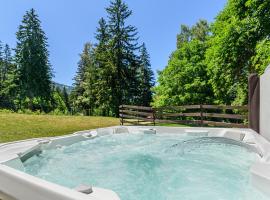 Hotel Casa Viorel jacuzzi & saunas，位于波亚纳布拉索夫的酒店