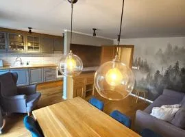 Apartamenty Zdrojowa 6