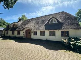 Ferienwohnung im Reetdachhaus Hallerhus