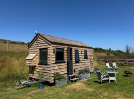 The Cabin at Salcombe Farm，位于索尔科姆的木屋