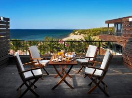 蓝海豚酒店，位于梅塔诺佛希斯的酒店