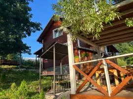 Карпатський котедж Karpatian cottage