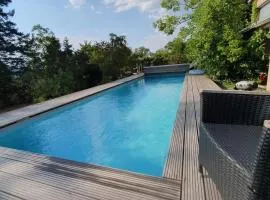 Doppelzimmer mit neuem Bad und Sportpool-Nutzung außen, im basement der Villa Naturpark, Garten mit Rheinblick