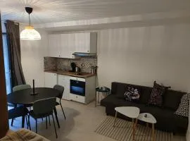 Studio de charme, au calme dans le vieux Chaumont