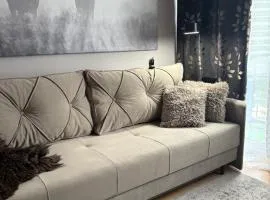 Przytulny Apartament