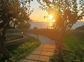 Capo Summer 2 0 Capo Vaticano