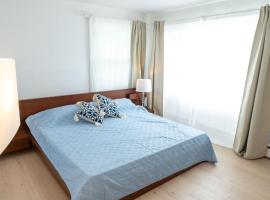 Central Cosy Appartement 3 chambres Levis Centre，位于莱维斯的酒店