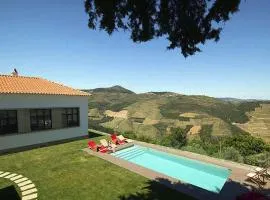 Outstanding Pinhao Villa 4 Bedrooms Villa Gouva Pool Table