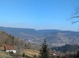 Gîte authentique à la montagne pour 10 pers. avec spa - FR-1-589-830