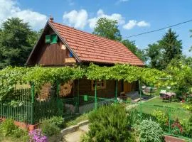 1 Bedroom Nice Home In Konjscina