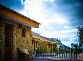 Casas y Cuevas El Solins，位于Las Casicas的乡村别墅