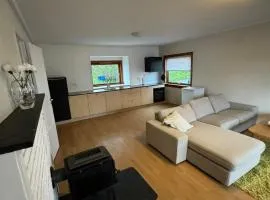 Central apartment