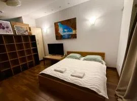 CENTRO House