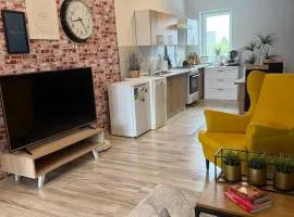 120m2 APARTAMENT LAS I JEZIORO