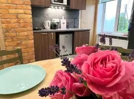 Apartment Vainagu street Sigulda