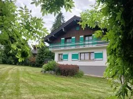 Chalet Mireneige, charme et confort face au Mont Blanc