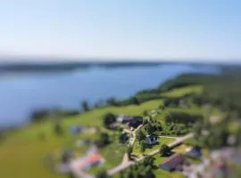 Havsörn