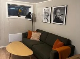 Apartment close to Aalesund center