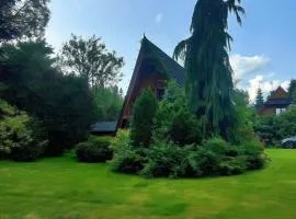 DOMKI JANOSIK - Janosik Góralski - cisza, kominek, raj dla dzieci i psów