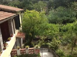 Casa Perez