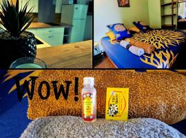 Poe Matie cosy Studio Papeete, entre Mer et Montagne, proche centre ville，位于帕皮提的公寓