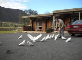 Halls Gap Motel，位于霍尔斯加普的酒店