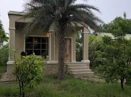 ARANYA JAWAI - A Nature Stay