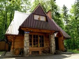 Domek Drewniany Tetmajera Centrum Zakopane