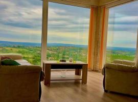 Vila POGLED，位于阿然德洛维克的酒店