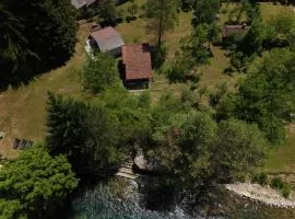 River Nest