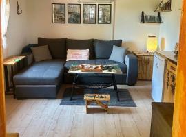 2 Cottage Home-Vacation Houses in Slatina full experience，位于Slatina的酒店
