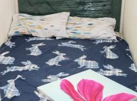 Partion Room Rental